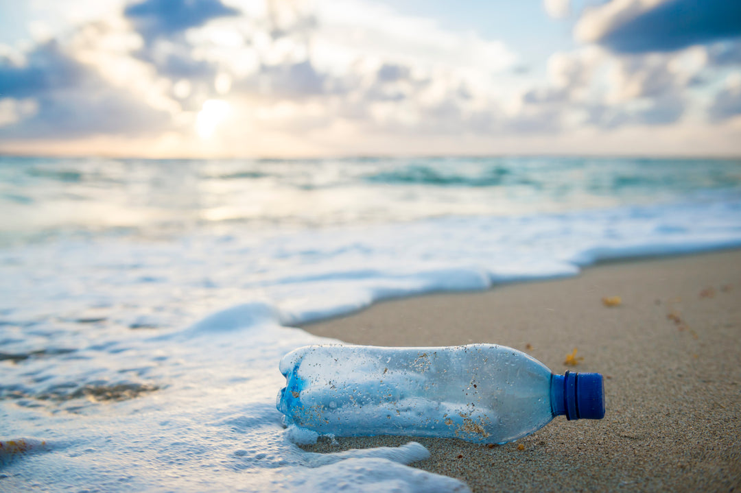 A Simple Change: Reduce Single-Use Plastic