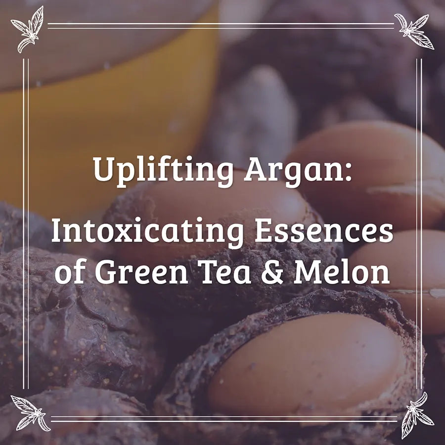 Pharmacopia Hyatt Hotels Argan Oil Collection Body Wash Uplifting Argan Essences of Green Tea and Melon