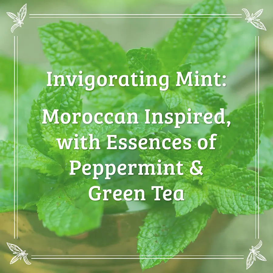 Pharmacopia Mint Argan Body Bar Moroccan Invigorating Essences of Peppermint and Greeen Tea 