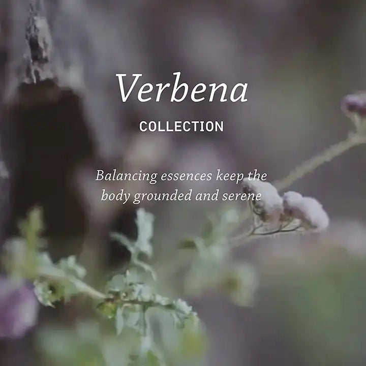 Verbena Luxury Bundle